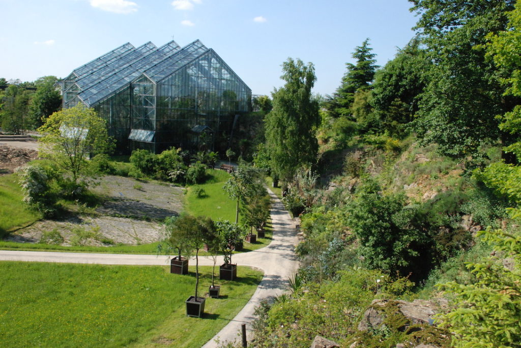 Jardin botanique de l'université d'Osnabrück