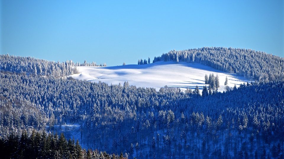 Forêt-Noire sous la neige 
