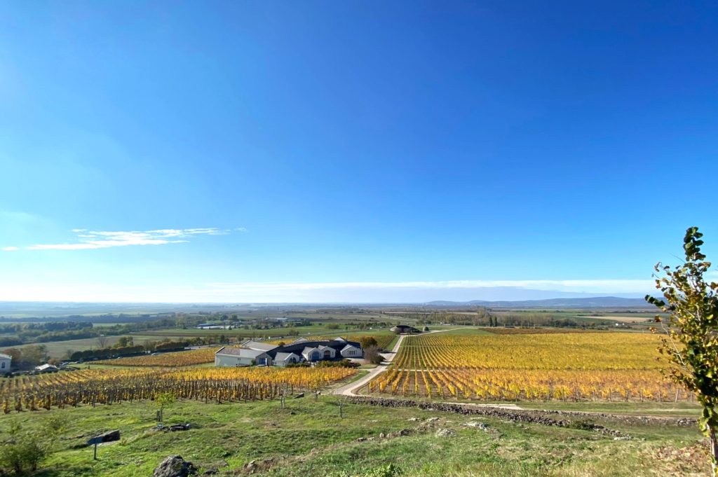 On your flight to Budapest, also take the opportunity for a day trip to Tokaj wine country.