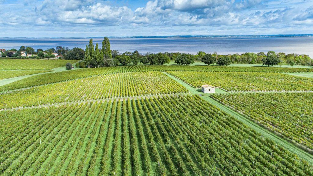 Bsuchen Sie das Weingut Tutiac: mit dem Privatjet zum Bordeaux Wein
