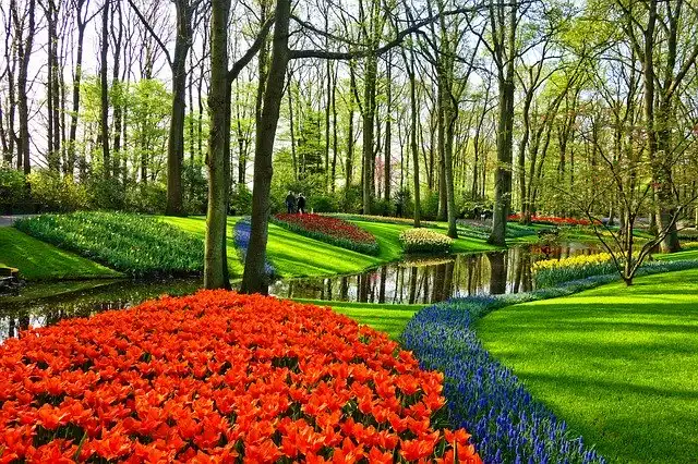 Sightseeing in den Niederlanden, Tulpen, Keukenhof