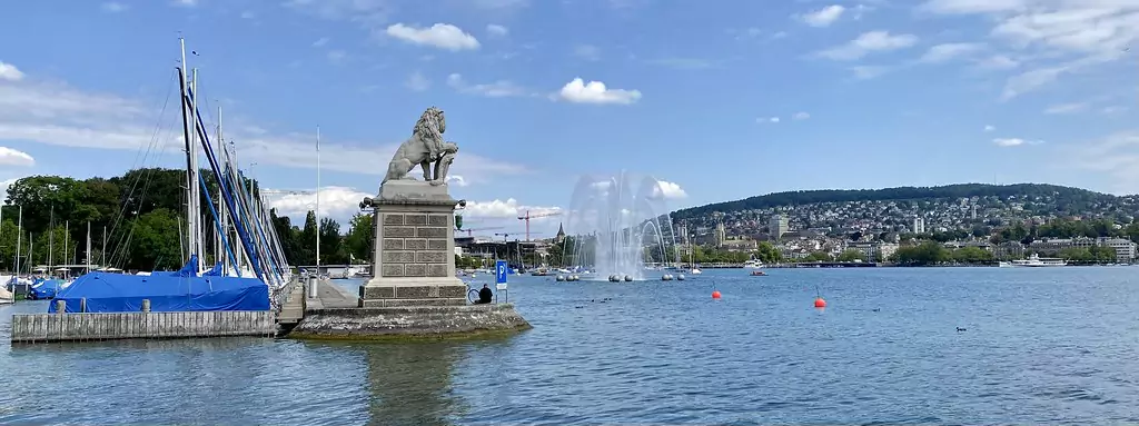 Take a private jet to the Lake of Zurich