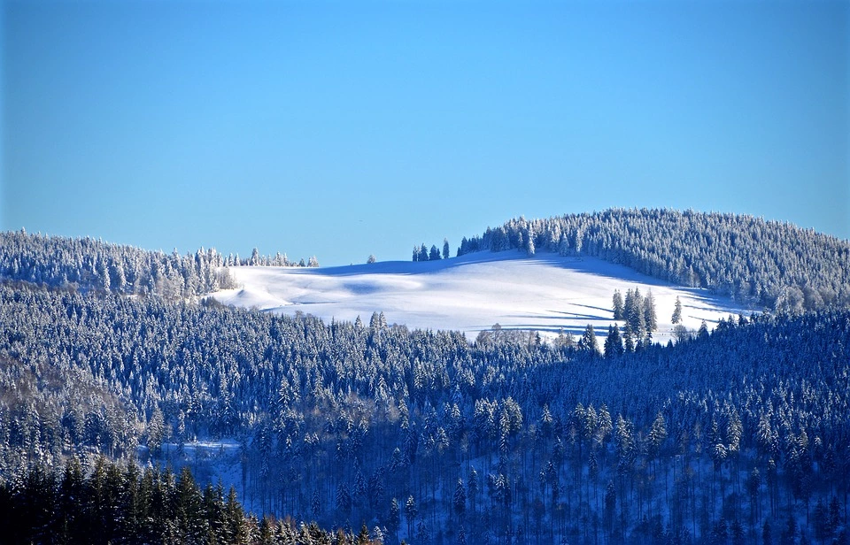 Schwarzwald Schnee