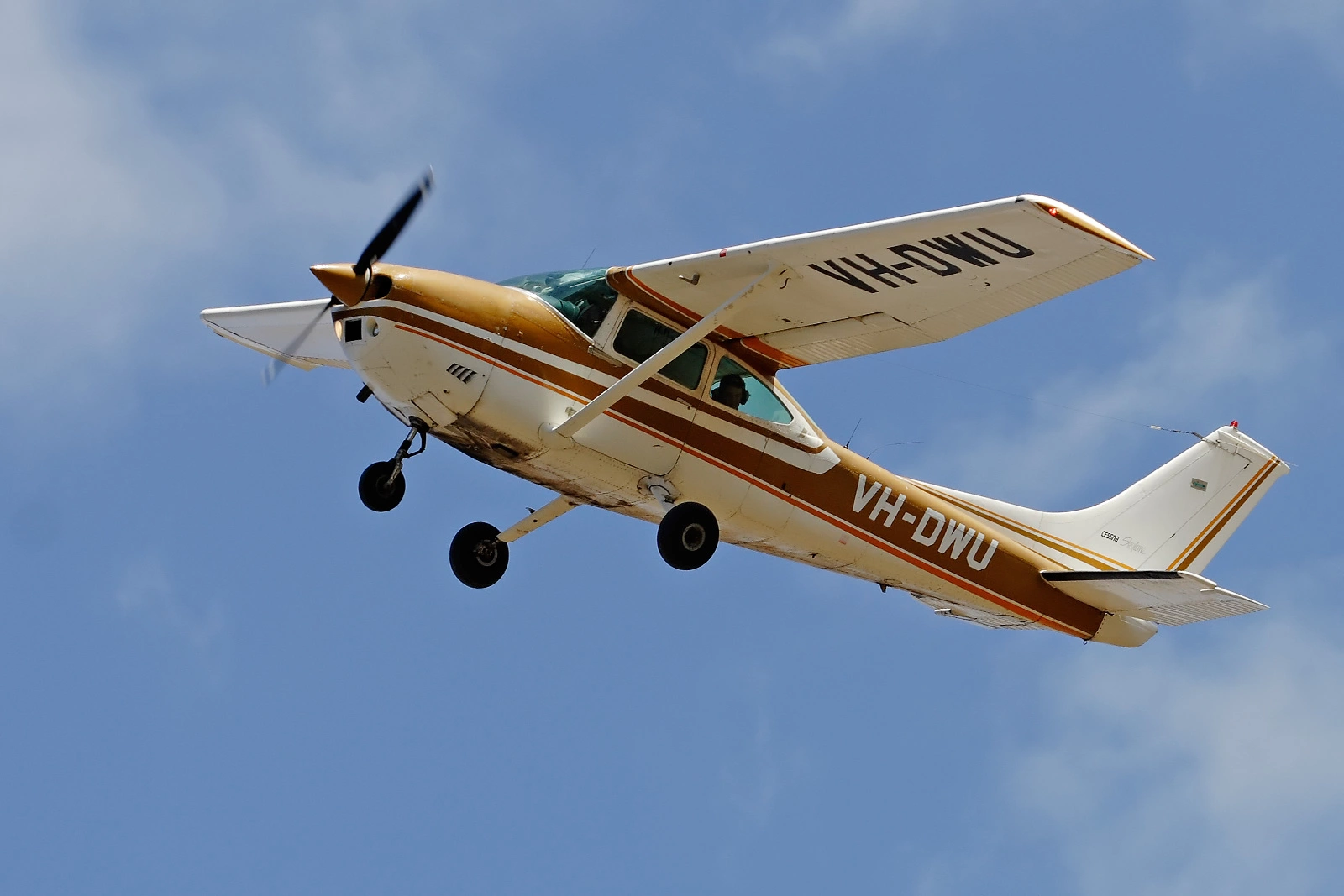 Le Cessna 182, exemple d'un avion à petit prix