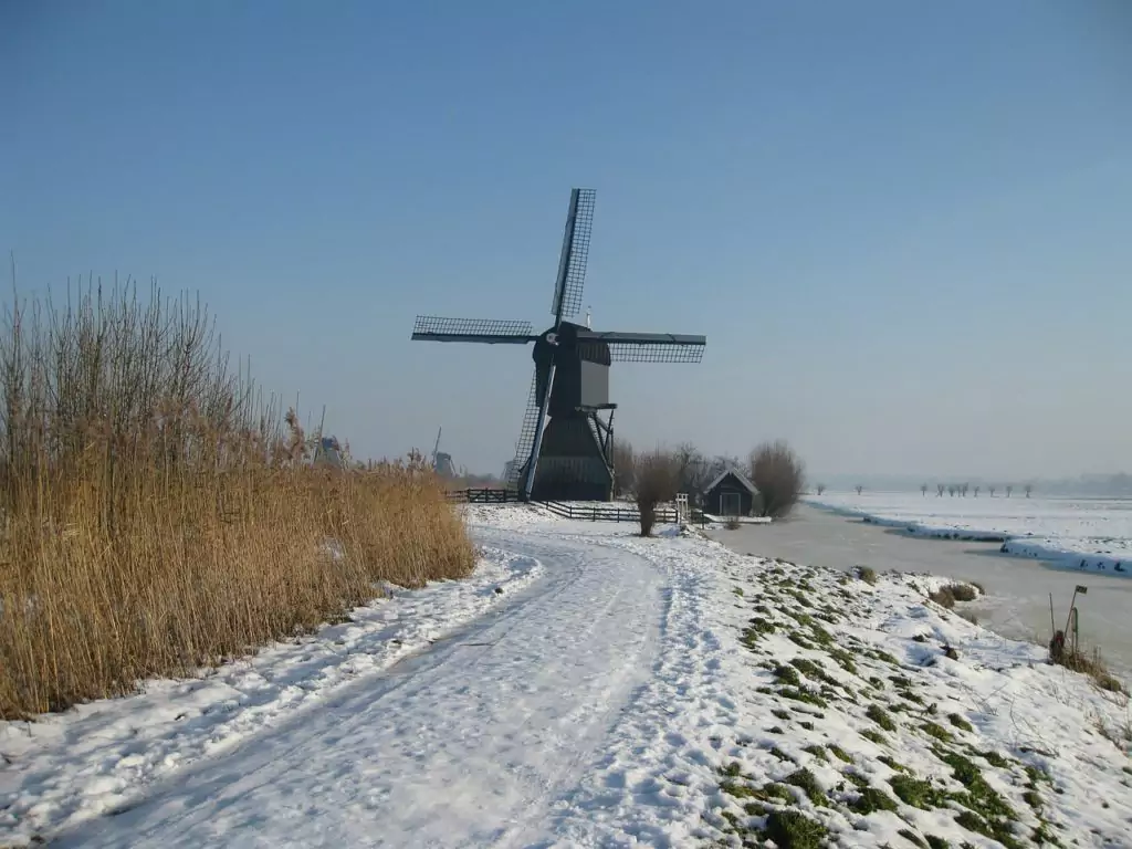 Windmills in Kinderdijk in Winter